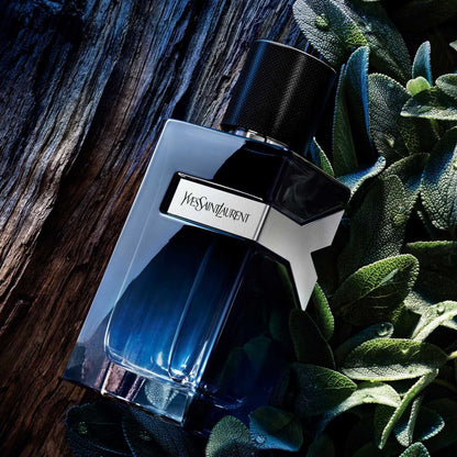 Yves saint Laurent Y